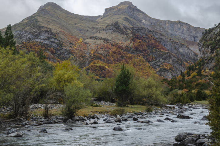 Huesca - valle de Bujaruelo 19 - rio Ara.jpg